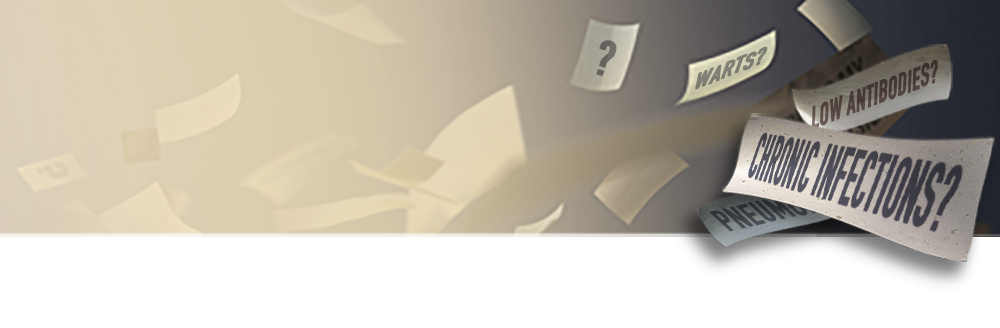 Could it be WHIM? title and campaign art
